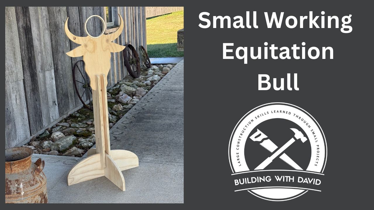 Small Working Equitation Bull